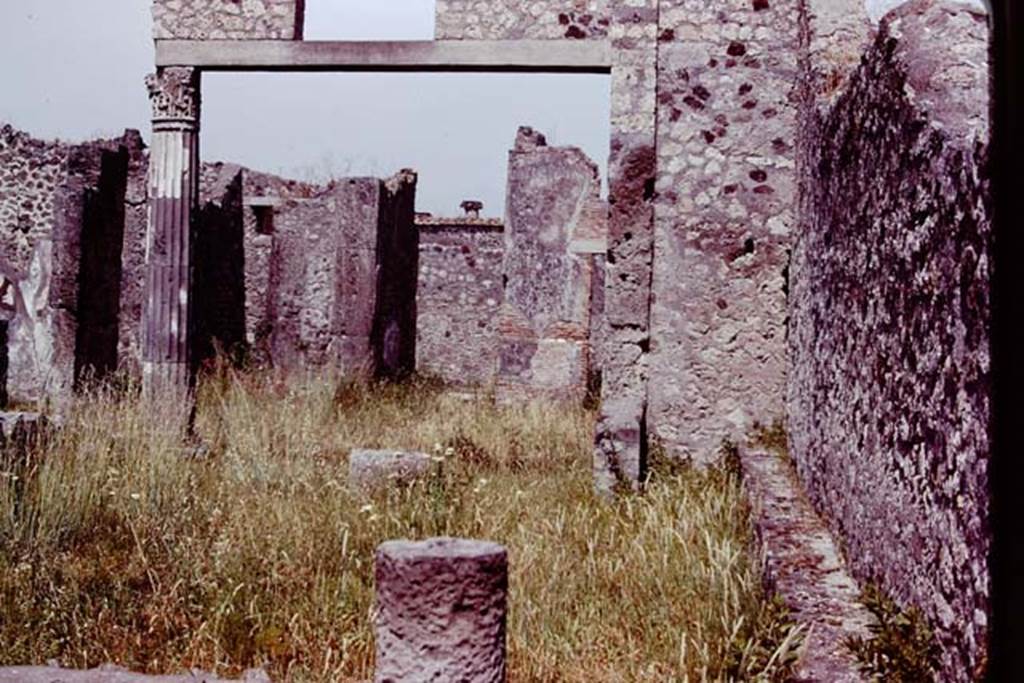 VII.7.23 Pompeii, 1978. Looking east across garden area, towards atrium and entrance doorway. Photo by Stanley A. Jashemski.   
Source: The Wilhelmina and Stanley A. Jashemski archive in the University of Maryland Library, Special Collections (See collection page) and made available under the Creative Commons Attribution-Non Commercial License v.4. See Licence and use details. J78f0236
