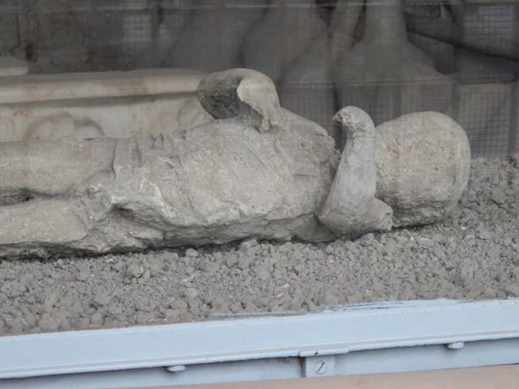 VII.7.29 Pompeii. May 2015. Detail of plaster cast of child found in lower corridor of VI.17.42. Photo courtesy of Buzz Ferebee.
