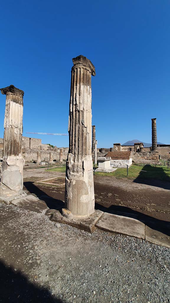 VII.7.32 Pompeii. July 2021. Detail of two columns on south side.
Foto Annette Haug, ERC Grant 681269 DÉCOR.
