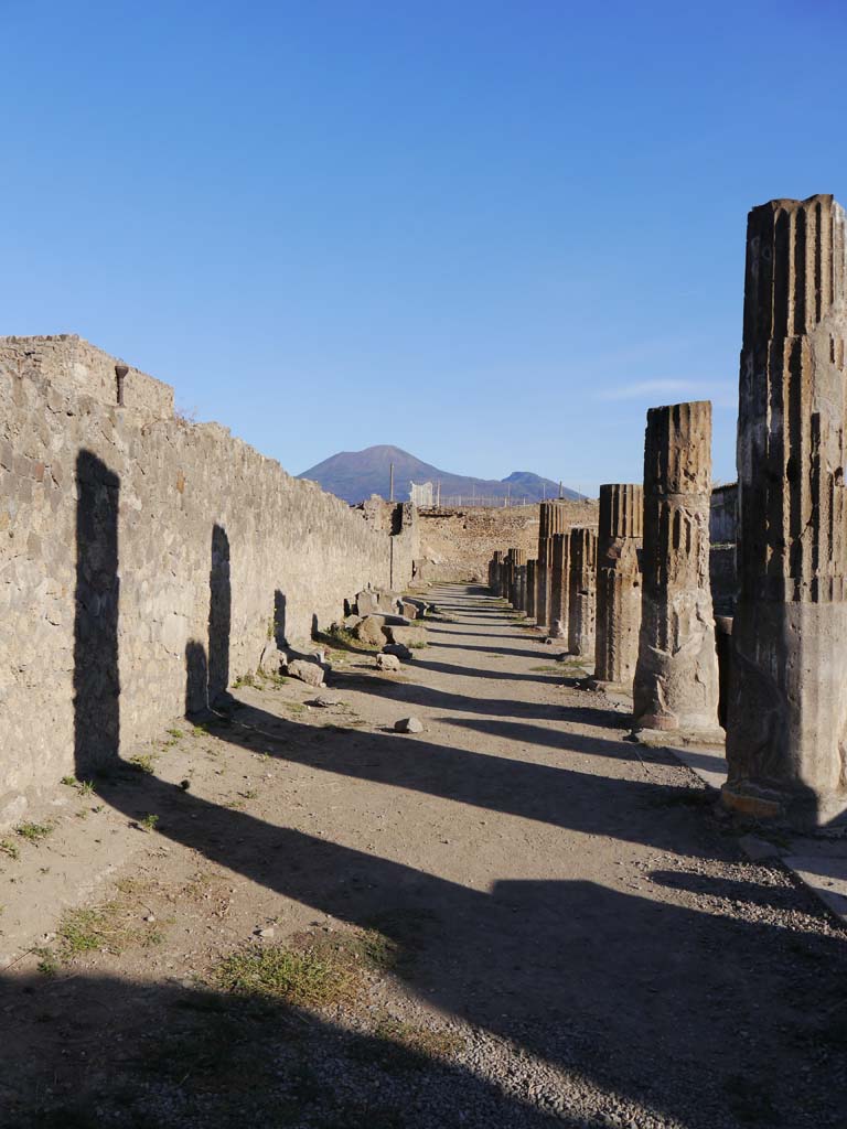 VII.7.32, Pompeii. October 2020. Looking north along west portico. Photo courtesy of Klaus Heese.