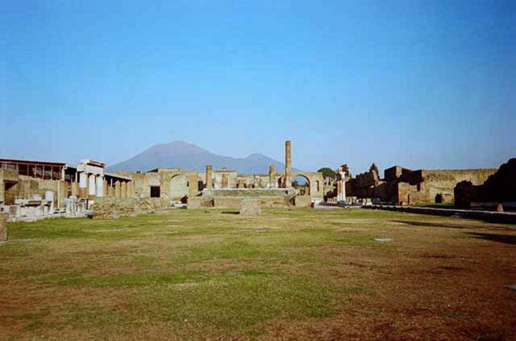 VII.8 Pompeii Forum. January 2010. Looking north. Photo courtesy of Rick Bauer.