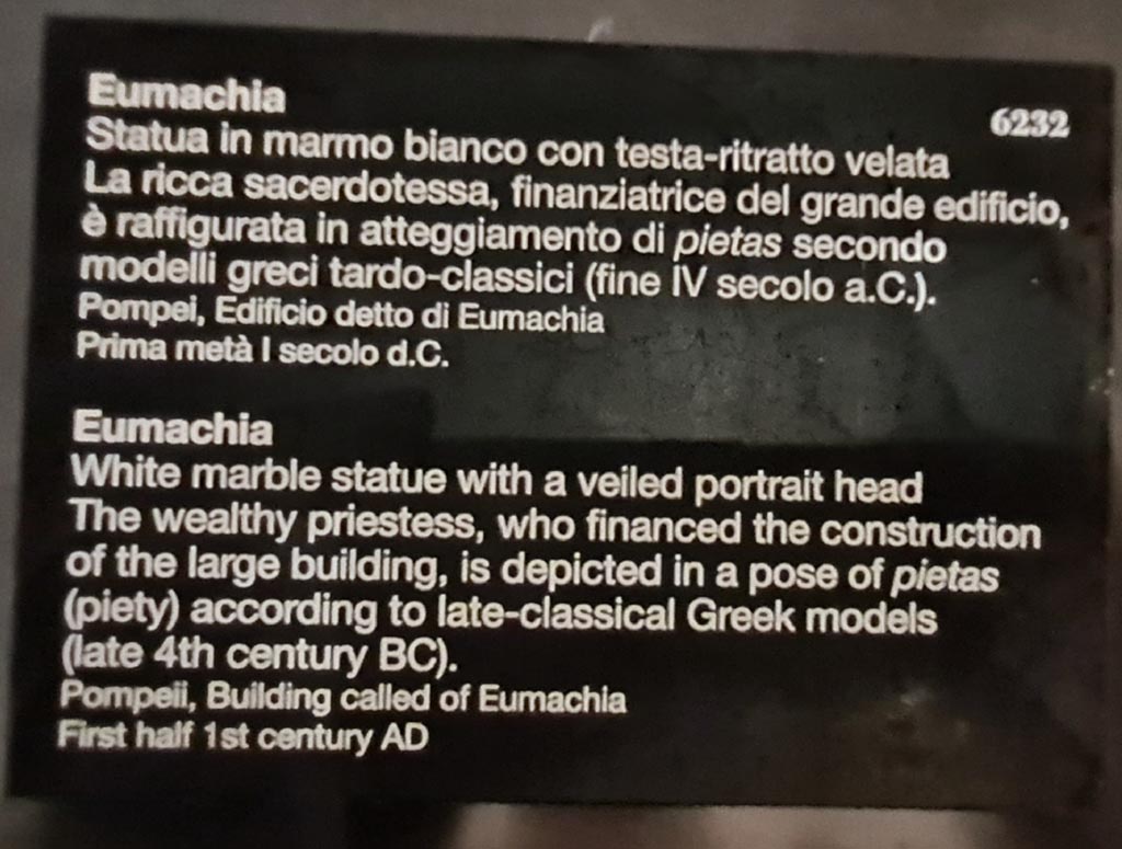 VII.9.1 Pompeii. April 2023. Museum descriptive card of Eumachia statue inv. 6232. Photo courtesy of Giuseppe Ciaramella.