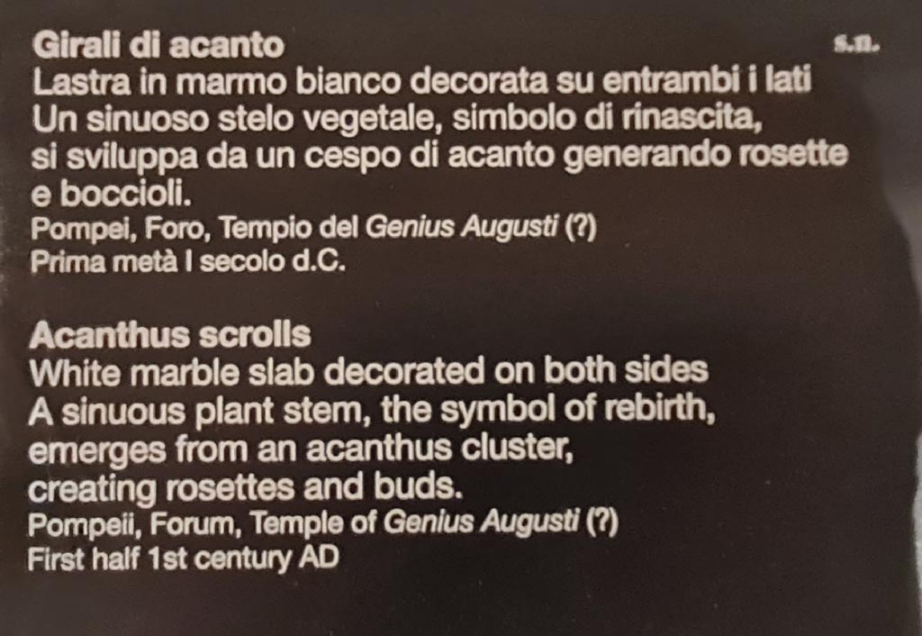 VII.9.2 Pompeii. April 2023. Museum descriptive card of marble acanthus scrolls. Photo courtesy of Giuseppe Ciaramella.

