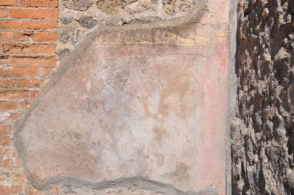 VII.9.7/8 Pompeii. July 2017. Detail of painted plaster on east wall in south-east corner.
Foto Annette Haug, ERC Grant 681269 DÉCOR.

