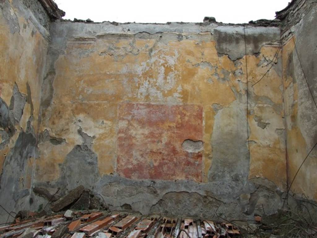 VII.9.47 Pompeii.  March 2009.  Room 11. Oecus. North wall.