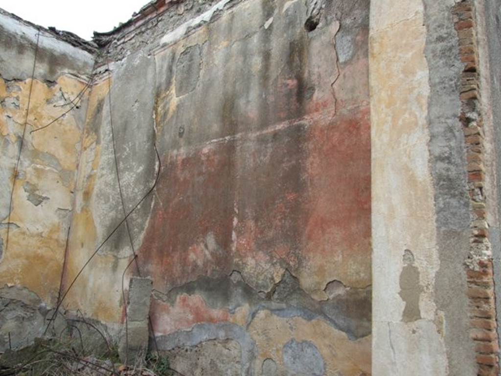 VII.9.47 Pompeii.  March 2009.  Room 11. Oecus. East wall.