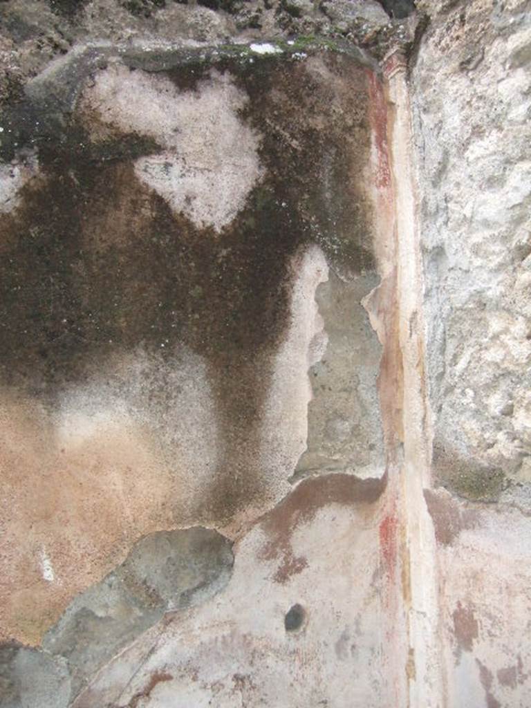 VII.10.3 Pompeii. December 2005. Remains of painted plaster. 