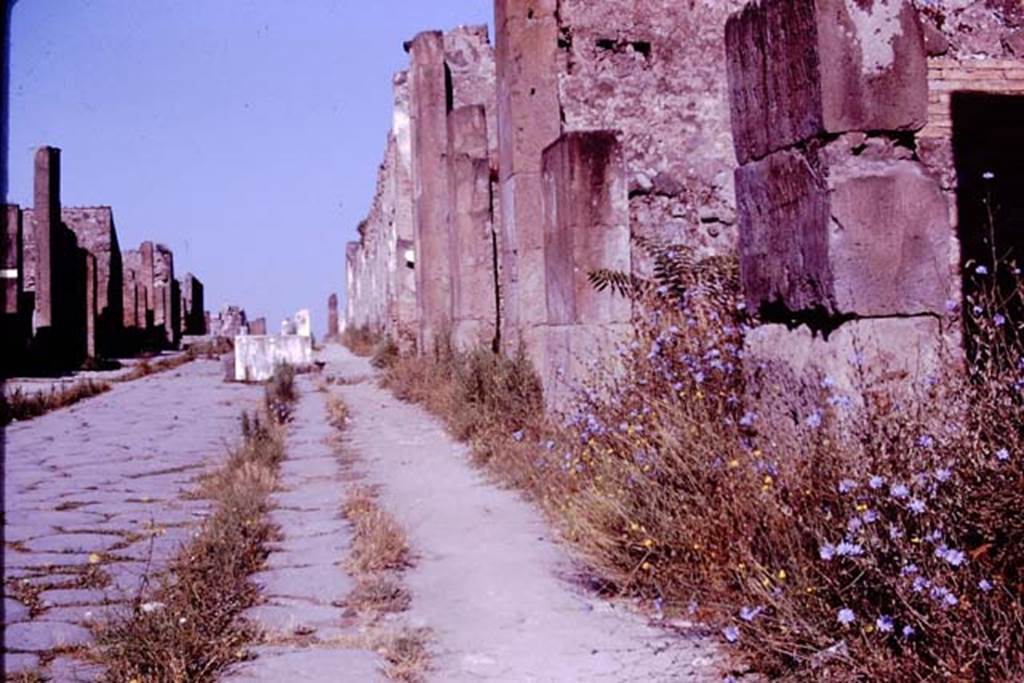 VII.13.6 Pompeii, on right, 1966. Looking west along Via dellAbbondanza. Photo by Stanley A. Jashemski.
Source: The Wilhelmina and Stanley A. Jashemski archive in the University of Maryland Library, Special Collections (See collection page) and made available under the Creative Commons Attribution-Non Commercial License v.4. See Licence and use details.
J66f0534
