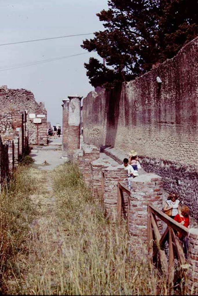 VII.16 Pompeii, 1978. Looking east along the remains of the large portico. Photo by Stanley A. Jashemski.   
Source: The Wilhelmina and Stanley A. Jashemski archive in the University of Maryland Library, Special Collections (See collection page) and made available under the Creative Commons Attribution-Non Commercial License v.4. See Licence and use details. J78f0239
