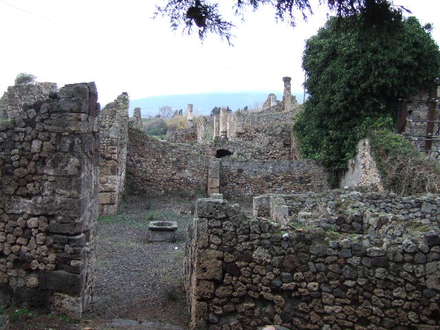 VII.16.1 Pompeii. June 2019. Looking towards wall of VII.16.3, over which can be seen the atrium of VII.16.1.
Looking south-west from rear of VII.16.10.   Photo courtesy of Buzz Ferebee.
