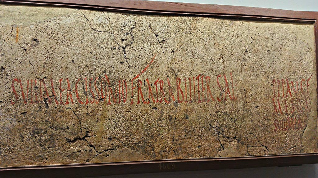 VII.16.3 Pompeii. Red painted inscriptions from wall between VII.16.2 and VII.16.3, [CIL IV 659] on left, and [CIL IV 660] on right.
Now in Naples Archaeological Museum, inv. 4669.  Photo courtesy of Giuseppe Ciaramella, June 2017.
On the left
SVILIMEA CISSONIO FRATRABILITER SAL
Aemilius fraternally greets Cissonius

On the right
P P P A V C F
M E S Q M
SVILIMEA
(Vote) for Publius Paquius Procolus and Aulus Vettius Caprasius Felix [for duoviri], Marcus Epidius Sabinus and Quintus Marius Rufus [for aediles]. Aemilius C[eler?]

SVILIMEA is Aemilius spelled backwards, a feature that is known from other inscriptions of Pompeii as well.

According to Varone and Stefani, on the left of the entrance doorway between VII.16.2 and 3, two painted inscriptions were found.
They have been detached from the wall, and are now stored in Naples Archaeological Museum, inventory number 4669.
They were CIL IV 659 and CIL IV 660.
See Varone, A. and Stefani, G., 2009. Titulorum Pictorum Pompeianorum, Rome: L’erma di Bretschneider, (p.361 and photos)

According to Epigraphik-Datenbank Clauss/Slaby (See www.manfredclauss.de), they read –
Aemilius Cissonio fratrabiliter sal(utem)       [CIL IV 659]

P(ublium) P(aquium) P(roculum) A(ulum) V(ettium) C(aprassium) f(elicem)
M(arcum) E(pidium) S(abinum) Q(uintum) M(arium) [R(ufum)]
Aemilius C[eler(?)]      [CIL IV 660]

