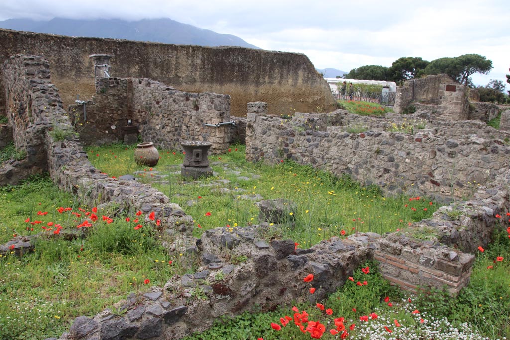 VII.16.6 Pompeii, on right. May 2024. Looking south from Vicolo del Gigante. Photo courtesy of Klaus Heese.