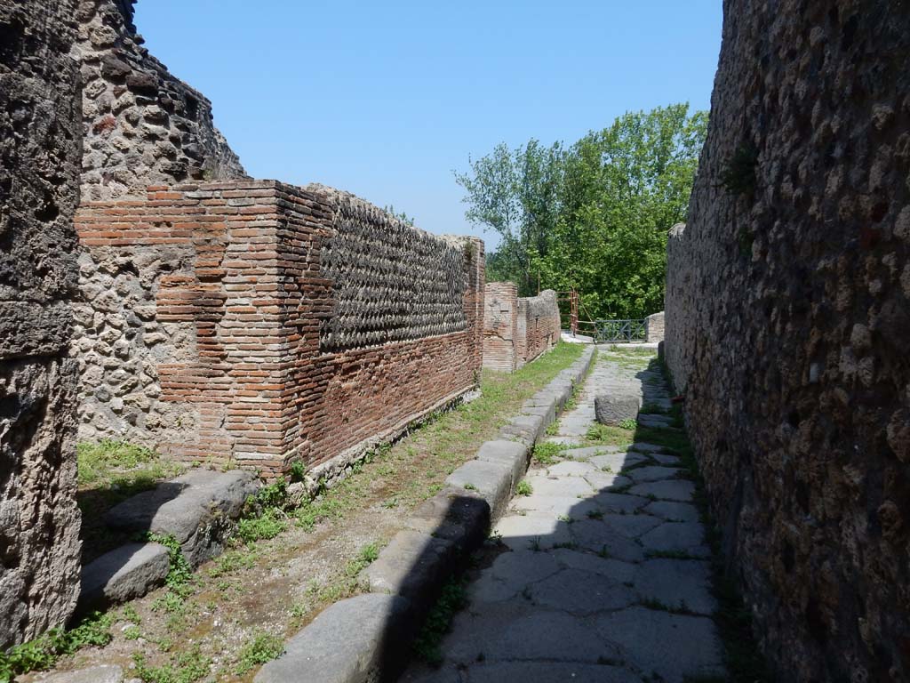VII.16.14, Pompeii, on left. June 2019. Looking north in Vicolo del Gigante towards junction with Vicolo dei Soprastanti. 
Photo courtesy of Buzz Ferebee.  
