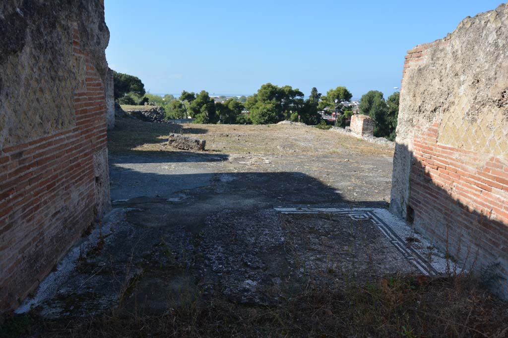 VII.16.15 Pompeii. October 2019. Room 1, looking west across mosaic in entrance corridor/fauces.
Foto Annette Haug, ERC Grant 681269 DÉCOR.
