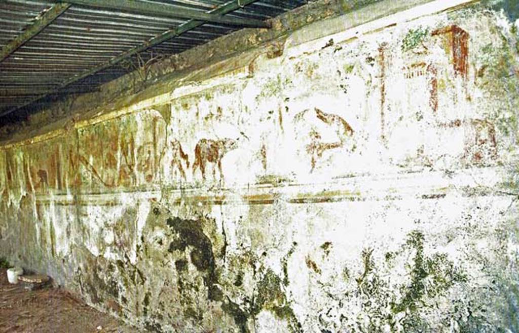 VII.16.17 Pompeii. May 2006. Animal and pigmy paintings on north wall of rear garden.