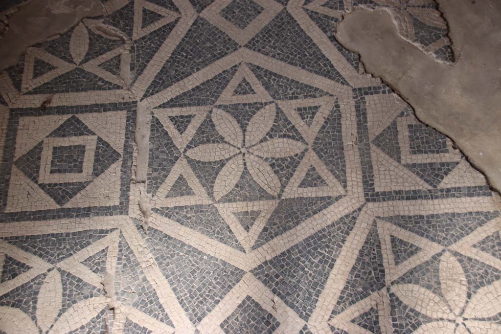 VII.16.a Pompeii. October 2020. Room 1, detail of mosaic floor. Photo courtesy of Klaus Heese. 