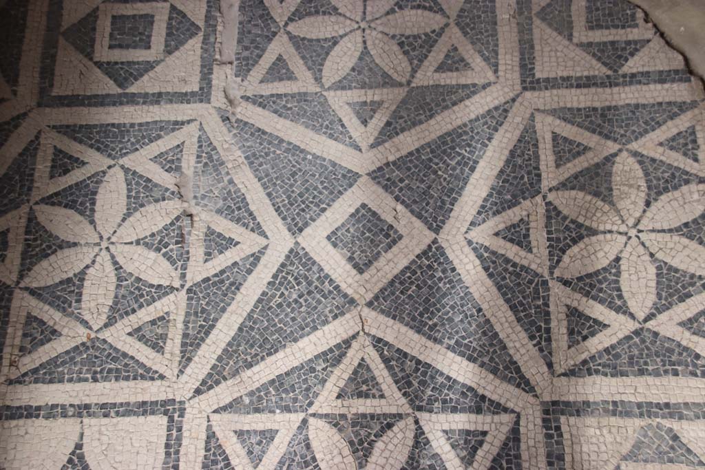 VII.16.a Pompeii. October 2020. Room 1, detail of mosaic floor. Photo courtesy of Klaus Heese. 