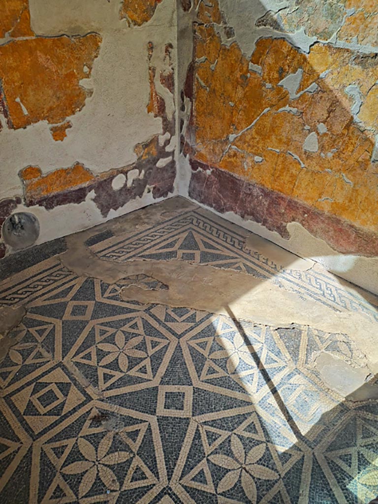 VII.16.a Pompeii. November 2023. 
Room 1, mosaic in north-east corner of floor. Photo courtesy of Giuseppe Ciaramella.
