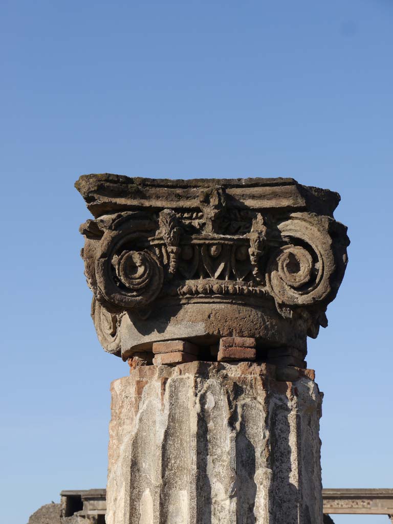 VIII.1.1 Pompeii. December 2023.
Column in Basilica, looking east towards Forum. Photo courtesy of Miriam Colomer.
