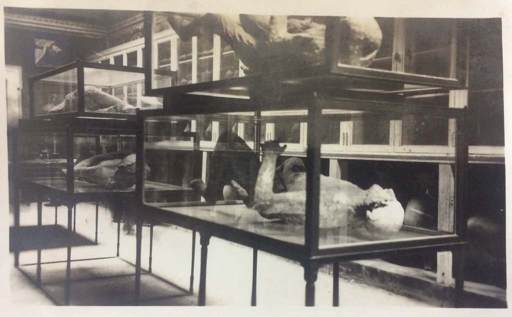 VIII.1.4 Pompeii Antiquarium. Stacked body casts. 1931 photograph taken by a British officer serving aboard the HMS Ramilles.
Photo courtesy of Rick Bauer.

