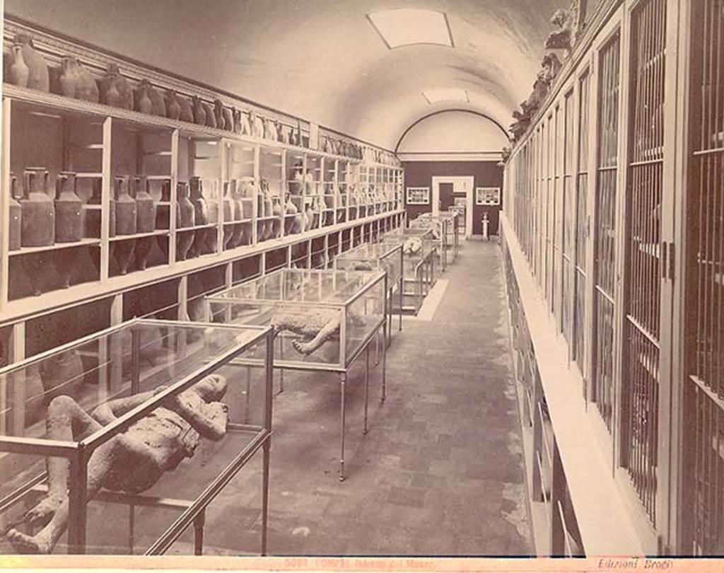 VIII.1.4 Pompeii Antiquarium. About 1870. Photograph of interior by Brogi showing body casts, amphorae and grondaie.