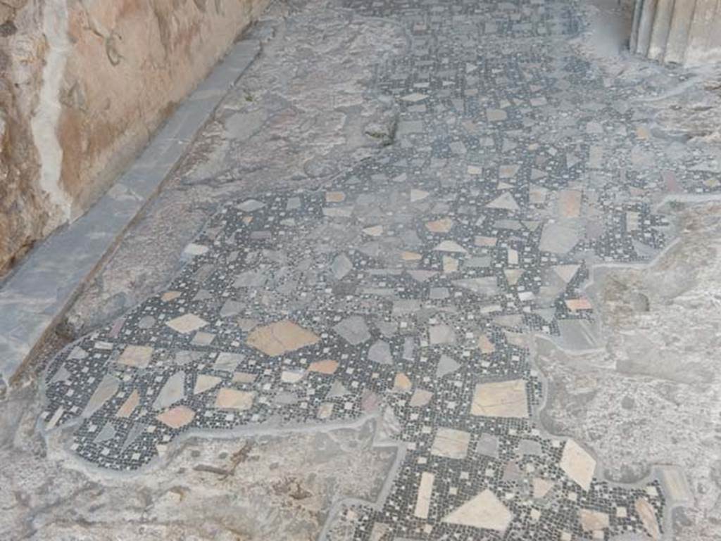 VIII.2.1 Pompeii. May 2018. Looking north along west side of atrium flooring. Photo courtesy of Buzz Ferebee.

