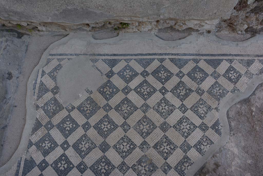 VIII.2.3 Pompeii. March 2019. Looking east across mosaic in entrance corridor.
Foto Annette Haug, ERC Grant 681269 DÉCOR.

