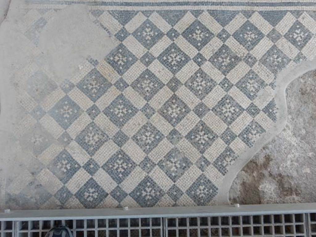 VIII.2.3 Pompeii. May 2018. Vestibule flooring, black and white mosaic. Photo courtesy of Buzz Ferebee.