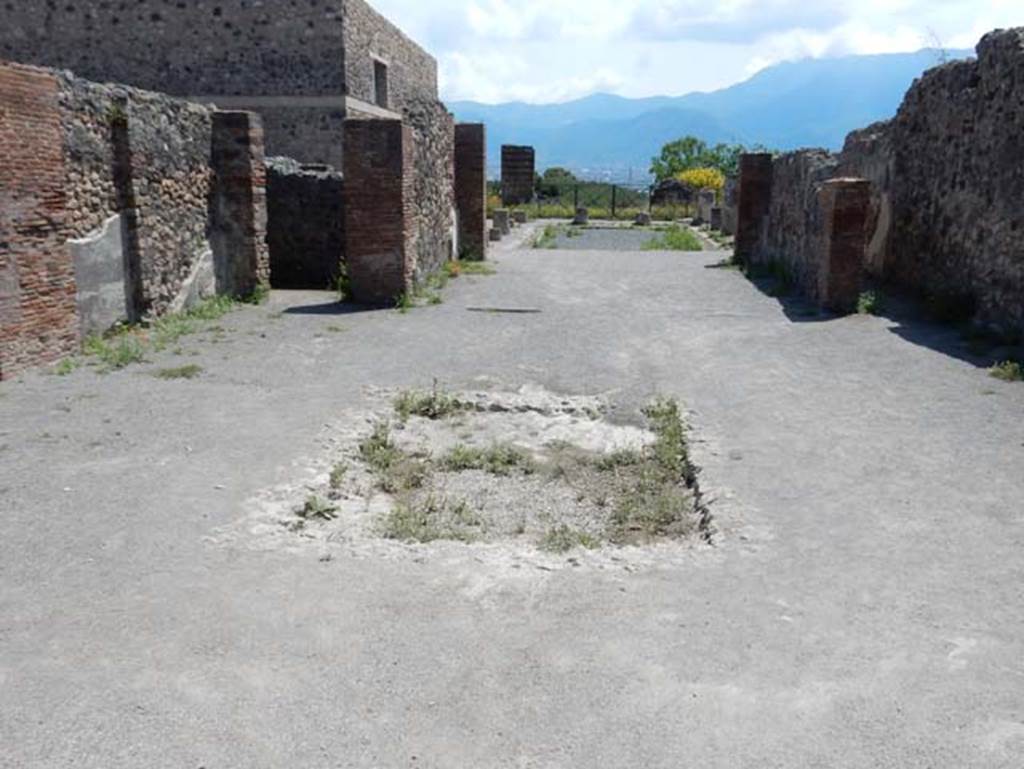 VIII.2.3 Pompeii. May 2018. Looking south across impluvium in atrium, and across tablinum to peristyle. Photo courtesy of Buzz Ferebee.

