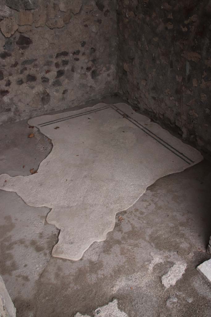 VIII.2.3 Pompeii. October 2020. Mosaic flooring in cubiculum on east side of entrance corridor. 
Photo courtesy of Klaus Heese.
