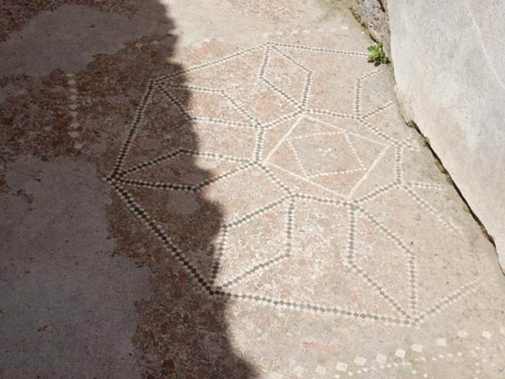 VIII.2.13 Pompeii. May 2018. Detail of flooring in room on north side of atrium. Photo courtesy of Buzz Ferebee.