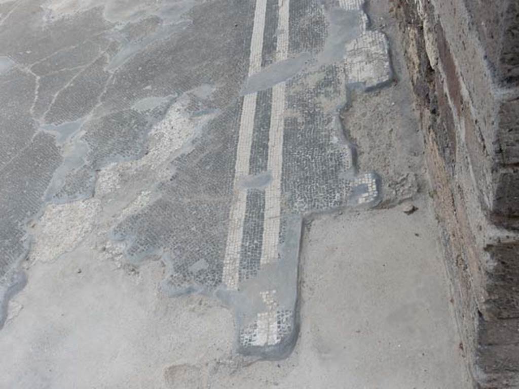 VIII.2.14 Pompeii. May 2017. Flooring near east wall. Photo courtesy of Buzz Ferebee.