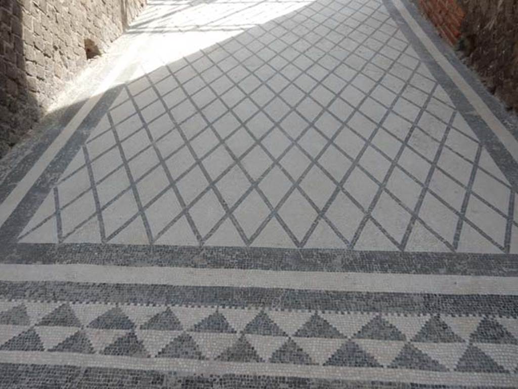 VIII.2.16 Pompeii. May 2017. Detail of entrance corridor flooring at west end, near atrium.  Photo courtesy of Buzz Ferebee.
