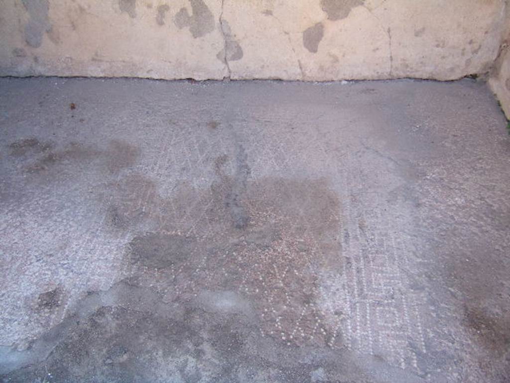 VIII.2.16 Pompeii. May 2024.  Decorated floor in cubiculum. Photo courtesy of Klaus Heese.