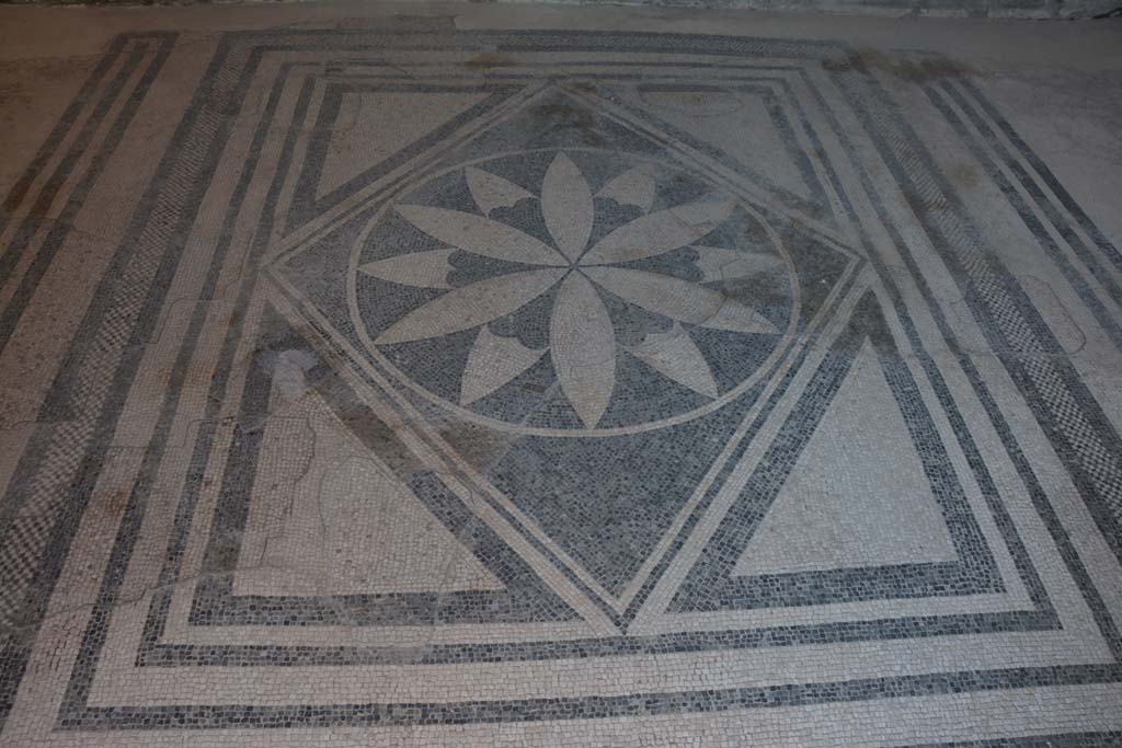 VIII.2.16 Pompeii. September 2019. Looking north across mosaic floor.
Foto Annette Haug, ERC Grant 681269 DÉCOR.
