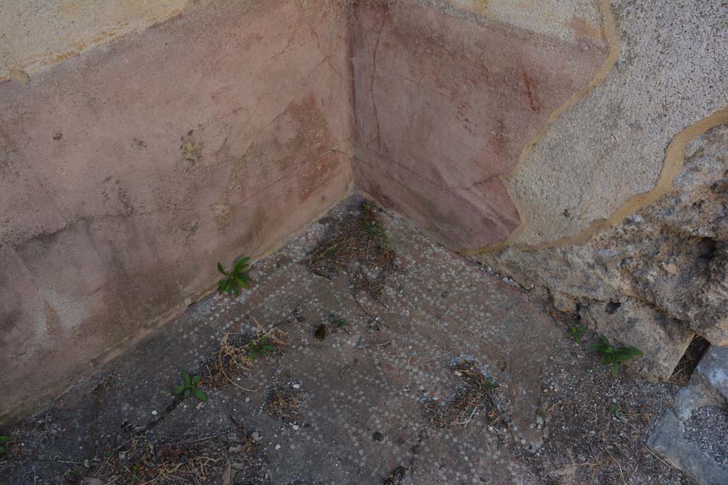 VIII.2.34 Pompeii. September 2019. 
Cubiculum ‘g’, south-east corner, with red zoccolo, and flooring with two lines of small white tiles around the edge.
Foto Annette Haug, ERC Grant 681269 DÉCOR.
