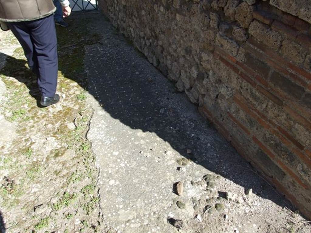 VIII.3.4 Pompeii. March 2009. Floor decoration on east side of fauces.