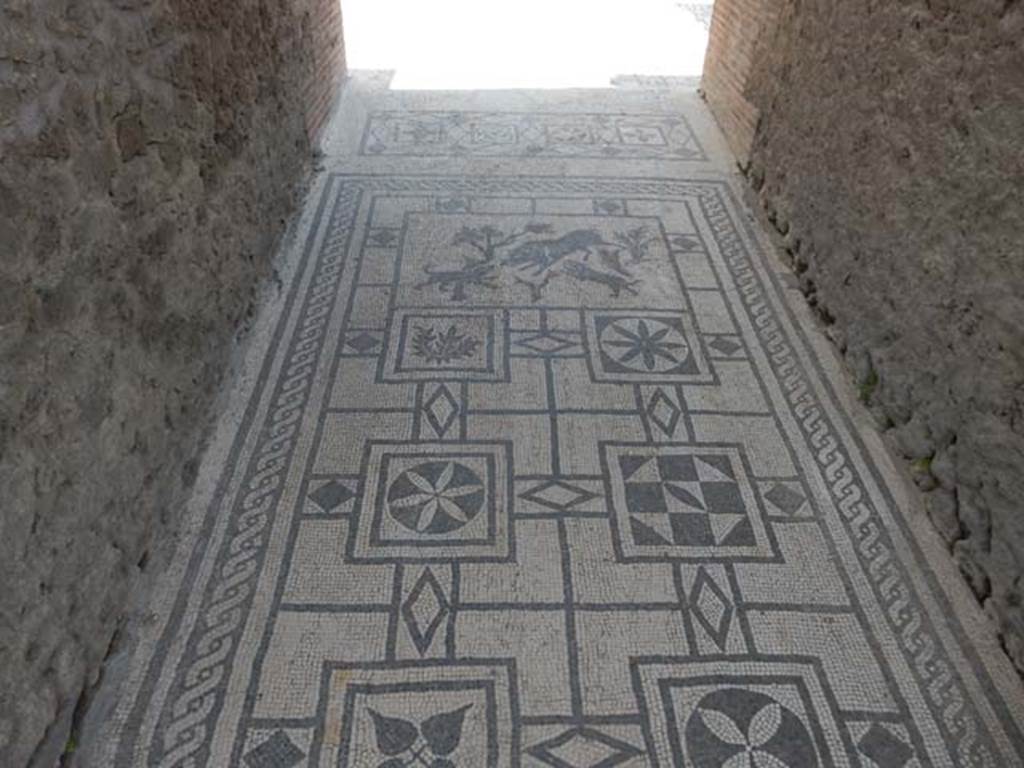 VIII.3.8 Pompeii. May 2016. Looking south from entrance doorway along mosaic in corridor/fauces. Photo courtesy of Buzz Ferebee.
