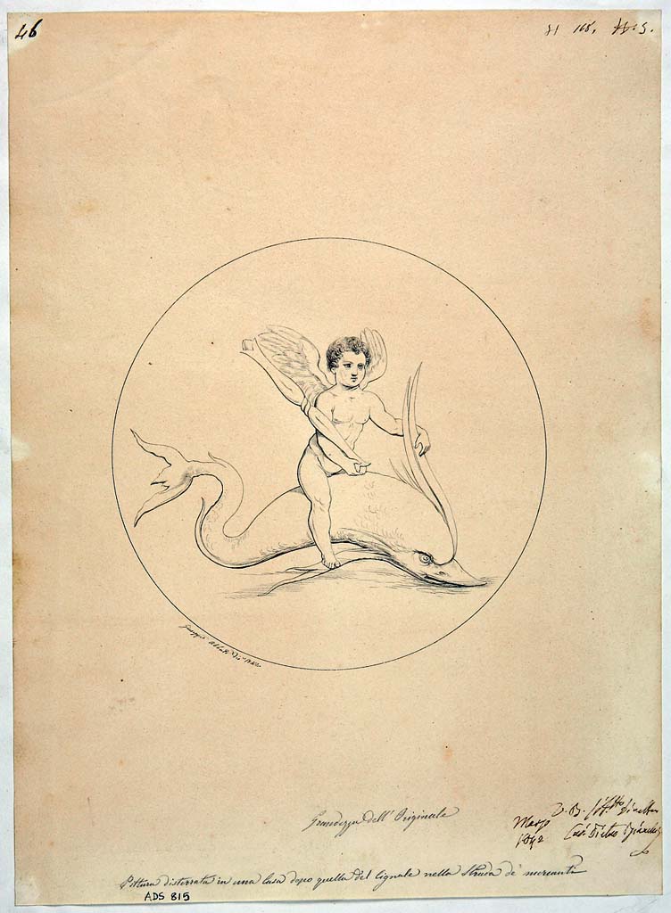VIII.3.4. Drawing by Giuseppe Abbate, 1842, of painting of a cupid riding a dolphin, from an unknown room.
The wording below the drawing reads “Painting found in a house after that of the Cignale in the Strada de’ Mercanti”.
Now in Naples Archaeological Museum. Inventory number ADS 815.
Photo © ICCD. http://www.catalogo.beniculturali.it
Utilizzabili alle condizioni della licenza Attribuzione - Non commerciale - Condividi allo stesso modo 2.5 Italia (CC BY-NC-SA 2.5 IT)
