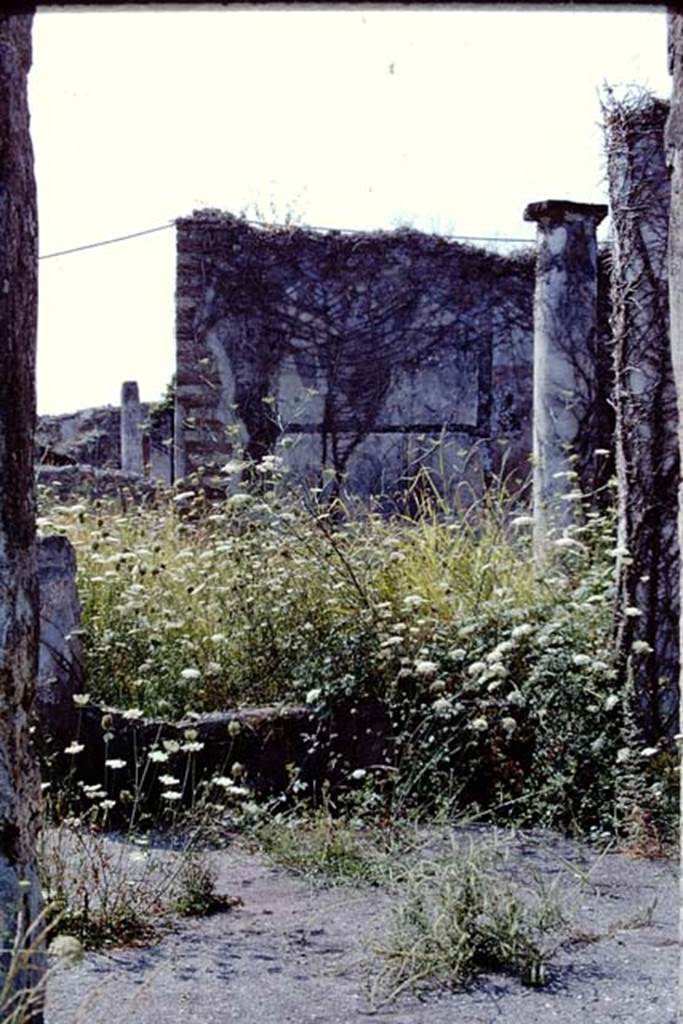 VIII.3.24 Pompeii. 1968. Looking south across peristyle.  Photo by Stanley A. Jashemski.
Source: The Wilhelmina and Stanley A. Jashemski archive in the University of Maryland Library, Special Collections (See collection page) and made available under the Creative Commons Attribution-Non Commercial License v.4. See Licence and use details.
J68f1179
