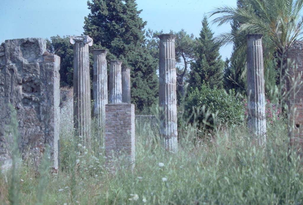 VIII.5.28 Pompeii. 7th August 1976. Looking south from atrium towards peristyle.
Photo courtesy of Rick Bauer, from Dr George Fay’s slides collection.
