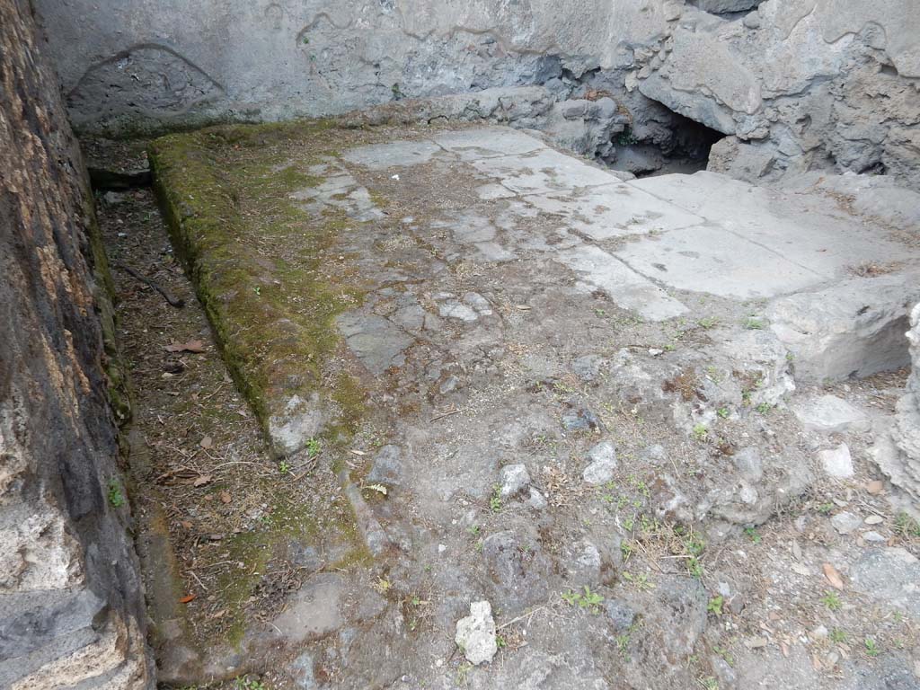 VIII.7.16 Pompeii. June 2019. Flooring in latrine in north-west corner. Photo courtesy of Buzz Ferebee.