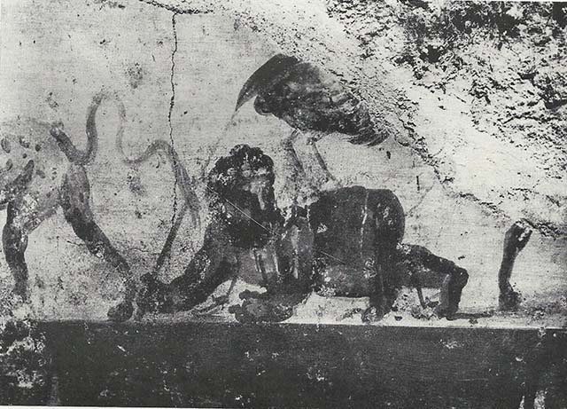 VIII.7.24 Pompeii. 1955. Fragment of Nilotic painting in peristyle ...