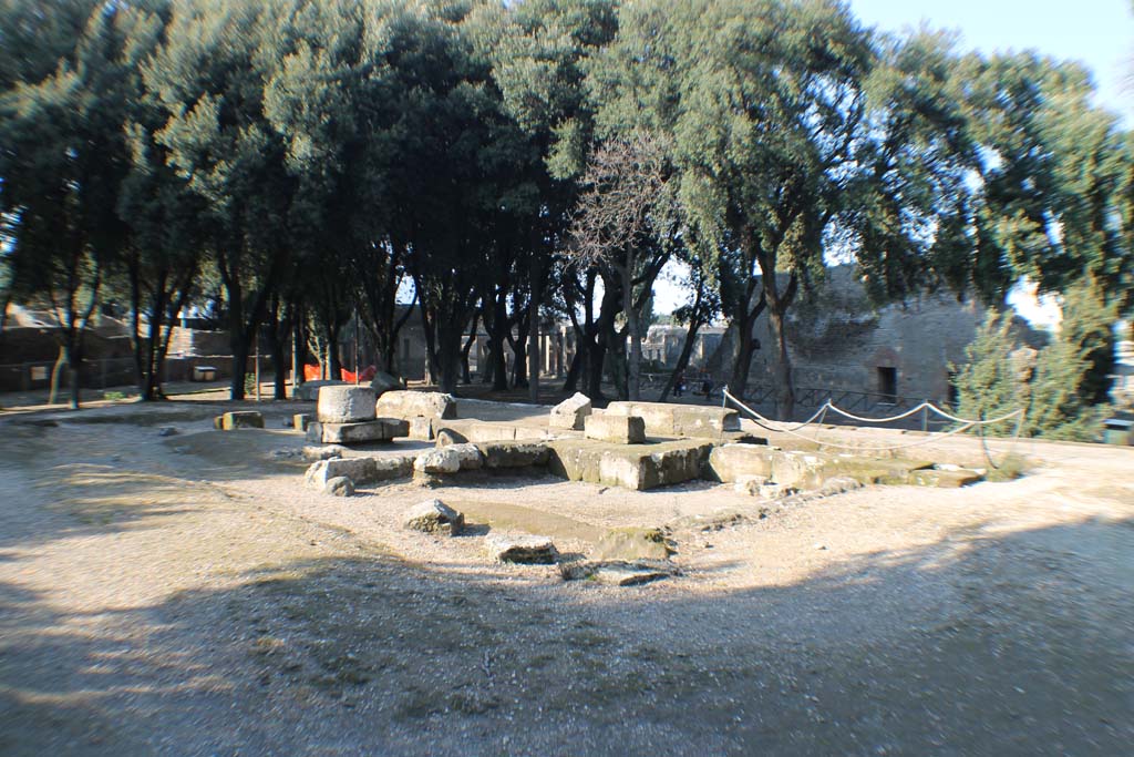 VIII.7.31 Pompeii. March 2014. Looking north.
Foto Annette Haug, ERC Grant 681269 DÉCOR.

