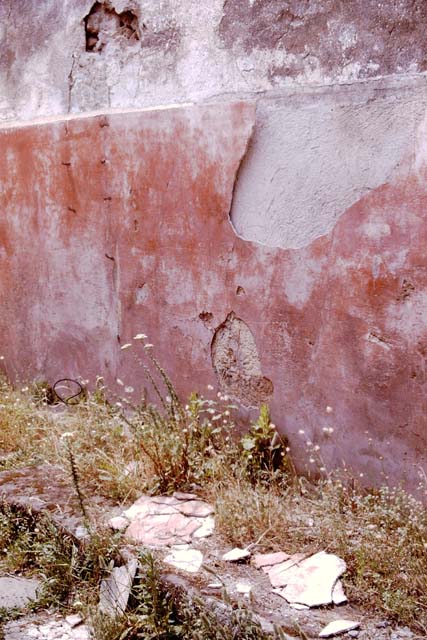 IX.2.16 Pompeii. 1964. Exterior painted wall on Vicolo di Balbo. Photo by Stanley A. Jashemski. 
Source: The Wilhelmina and Stanley A. Jashemski archive in the University of Maryland Library, Special Collections (See collection page) and made available under the Creative Commons Attribution-Non Commercial License v.4. See Licence and use details. J64f0914
