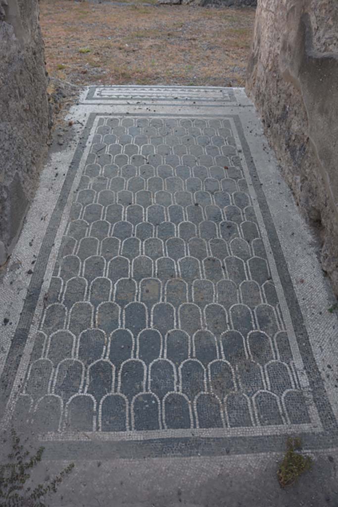 IX.3.2 Pompeii. September 2019. Looking east along mosaic in entrance corridor. 
Foto Annette Haug, ERC Grant 681269 DÉCOR.
