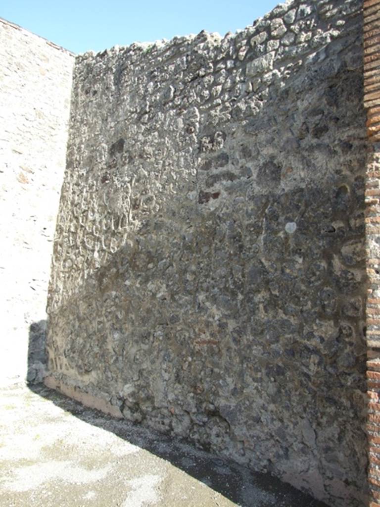 IX.3.6 Pompeii.  March 2009.  South wall.