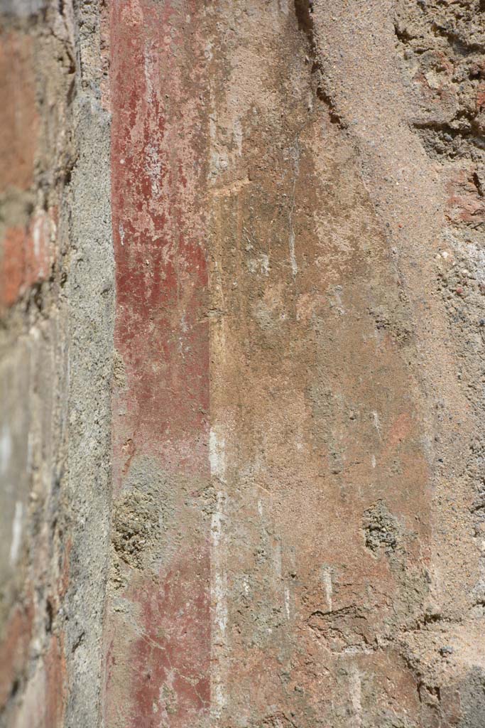 IX.5.1 Pompeii. May 2017. Detail from lower north wall in north-west corner.
Foto Christian Beck, ERC Grant 681269 DÉCOR.
