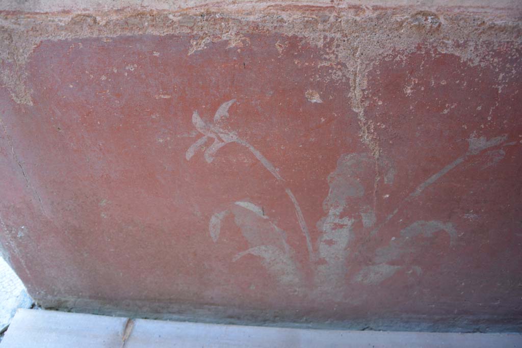 IX.5.6 Pompeii. May 2017. Room k, (east side), detail of painted plant from zoccolo on north wall. 
Foto Christian Beck, ERC Grant 681269 DCOR.

