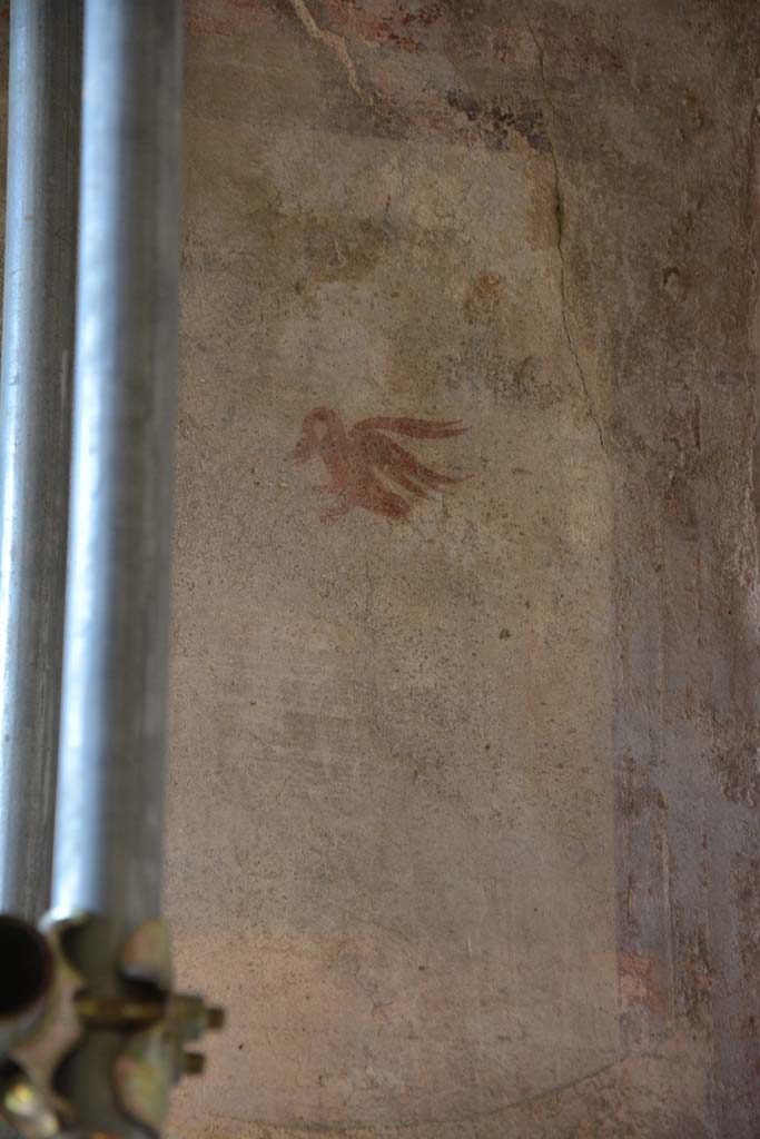 IX.5.6 Pompeii. May 2017. 
Room k, (east side), detail of painted swan from upper east end of north wall. 
Foto Christian Beck, ERC Grant 681269 DCOR.
